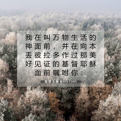Picture 07 - 提 摩 太 前 书 6:13 CUVS - 我 在 叫 万 物 生 活 的 神 面 前 ， - Bible Verse Picture