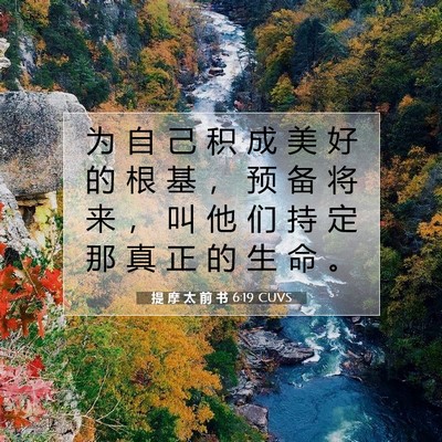 Picture 07 - 提 摩 太 前 书 6:19 CUVS - 为 自 己 积 成 美 好 的 根 基 ， 预 - Bible Verse Picture