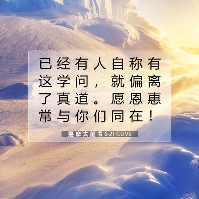 Picture 07 - 提 摩 太 前 书 6:21 CUVS - 已 经 有 人 自 称 有 这 学 问 ， 就 - Bible Verse Picture
