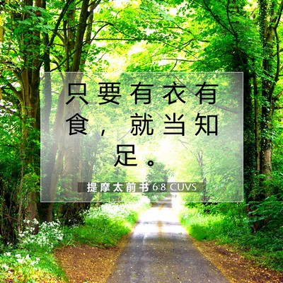 Picture 07 - 提 摩 太 前 书 6:8 CUVS - 只 要 有 衣 有 食 ， 就 当 知 足 - Bible Verse Picture