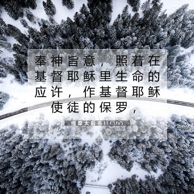 Picture 07 - 提 摩 太 后 书 1:1 CUVS - 奉 神 旨 意 ， 照 着 在 基 督 耶 稣 - Bible Verse Picture