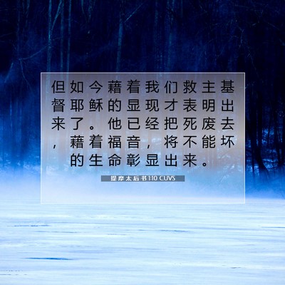 Picture 07 - 提 摩 太 后 书 1:10 CUVS - 但 如 今 藉 着 我 们 救 主 基 督 耶 - Bible Verse Picture