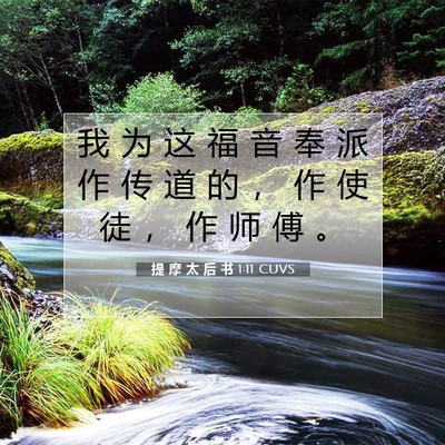 Picture 07 - 提 摩 太 后 书 1:11 CUVS - 我 为 这 福 音 奉 派 作 传 道 的 ， - Bible Verse Picture