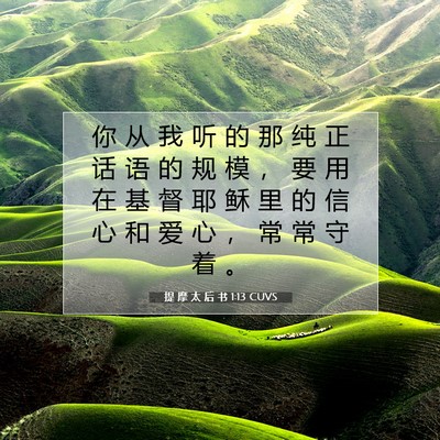 Picture 07 - 提 摩 太 后 书 1:13 CUVS - 你 从 我 听 的 那 纯 正 话 语 的 规 - Bible Verse Picture