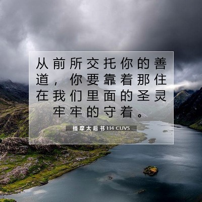 Picture 07 - 提 摩 太 后 书 1:14 CUVS - 从 前 所 交 托 你 的 善 道 ， 你 要 - Bible Verse Picture