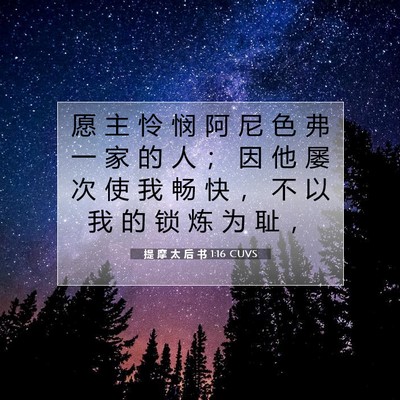 Picture 07 - 提 摩 太 后 书 1:16 CUVS - 愿 主 怜 悯 阿 尼 色 弗 一 家 的 人 - Bible Verse Picture