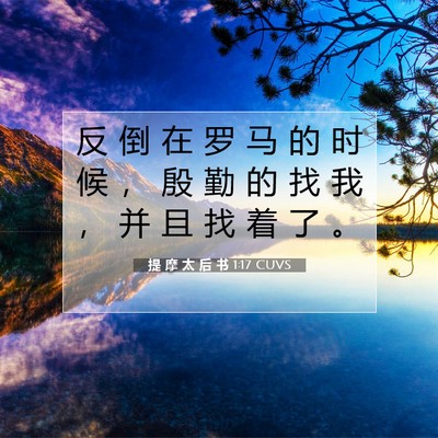 Picture 07 - 提 摩 太 后 书 1:17 CUVS - 反 倒 在 罗 马 的 时 候 ， 殷 勤 的 - Bible Verse Picture
