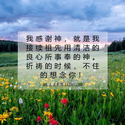 Picture 07 - 提 摩 太 后 书 1:3 CUVS - 我 感 谢 神 ， 就 是 我 接 续 祖 先 - Bible Verse Picture