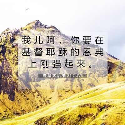 Picture 07 - 提 摩 太 后 书 2:1 CUVS - 我 儿 阿 ， 你 要 在 基 督 耶 稣 的 - Bible Verse Picture