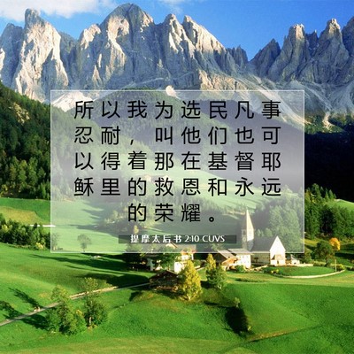 Picture 07 - 提 摩 太 后 书 2:10 CUVS - 所 以 我 为 选 民 凡 事 忍 耐 ， 叫 - Bible Verse Picture