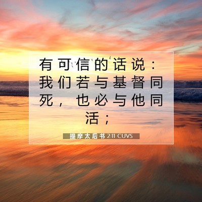 Picture 07 - 提 摩 太 后 书 2:11 CUVS - 有 可 信 的 话 说 ： 我 们 若 与 基 - Bible Verse Picture