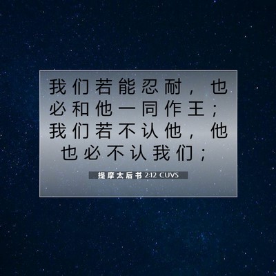 Picture 07 - 提 摩 太 后 书 2:12 CUVS - 我 们 若 能 忍 耐 ， 也 必 和 他 一 - Bible Verse Picture