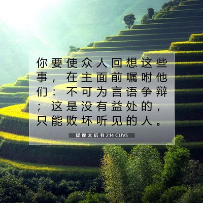 Picture 07 - 提 摩 太 后 书 2:14 CUVS - 你 要 使 众 人 回 想 这 些 事 ， 在 - Bible Verse Picture
