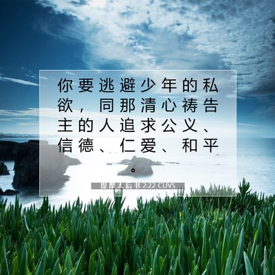 Picture 07 - 提 摩 太 后 书 2:22 CUVS - 你 要 逃 避 少 年 的 私 欲 ， 同 那 - Bible Verse Picture