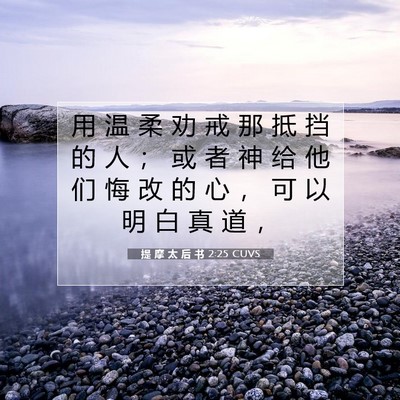 Picture 07 - 提 摩 太 后 书 2:25 CUVS - 用 温 柔 劝 戒 那 抵 挡 的 人 ； 或 - Bible Verse Picture