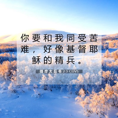 Picture 07 - 提 摩 太 后 书 2:3 CUVS - 你 要 和 我 同 受 苦 难 ， 好 像 基 - Bible Verse Picture