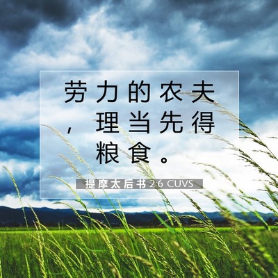 Picture 07 - 提 摩 太 后 书 2:6 CUVS - 劳 力 的 农 夫 ， 理 当 先 得 粮 食 - Bible Verse Picture