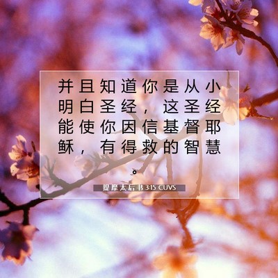 Picture 07 - 提 摩 太 后 书 3:15 CUVS - 并 且 知 道 你 是 从 小 明 白 圣 经 - Bible Verse Picture