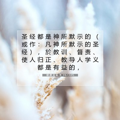 Picture 07 - 提 摩 太 后 书 3:16 CUVS - 圣 经 都 是 神 所 默 示 的 （ 或 作 - Bible Verse Picture