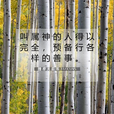 Picture 07 - 提 摩 太 后 书 3:17 CUVS - 叫 属 神 的 人 得 以 完 全 ， 预 备 - Bible Verse Picture