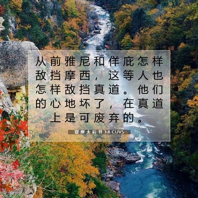 Picture 07 - 提 摩 太 后 书 3:8 CUVS - 从 前 雅 尼 和 佯 庇 怎 样 敌 挡 摩 - Bible Verse Picture