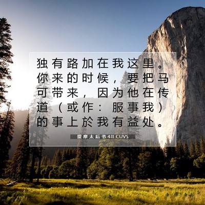 Picture 07 - 提 摩 太 后 书 4:11 CUVS - 独 有 路 加 在 我 这 里 。 你 来 的 - Bible Verse Picture