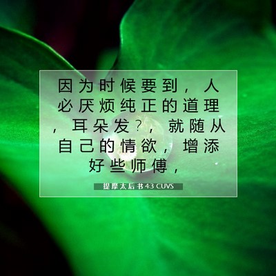 Picture 07 - 提 摩 太 后 书 4:3 CUVS - 因 为 时 候 要 到 ， 人 必 厌 烦 纯 - Bible Verse Picture