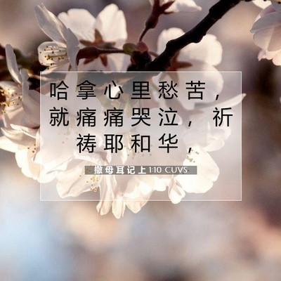 Picture 07 - 撒 母 耳 记 上 1:10 CUVS - 哈 拿 心 里 愁 苦 ， 就 痛 痛 哭 泣 - Bible Verse Picture