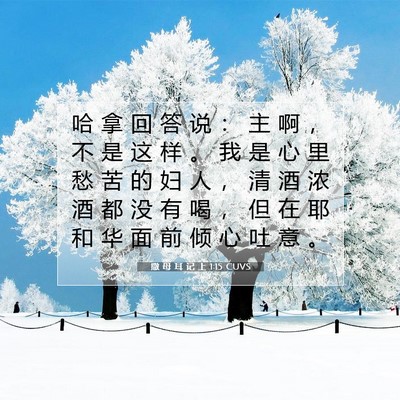 Picture 07 - 撒 母 耳 记 上 1:15 CUVS - 哈 拿 回 答 说 ： 主 啊 ， 不 是 这 - Bible Verse Picture