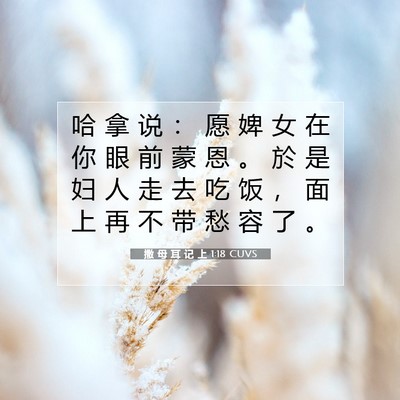 Picture 07 - 撒 母 耳 记 上 1:18 CUVS - 哈 拿 说 ： 愿 婢 女 在 你 眼 前 蒙 - Bible Verse Picture