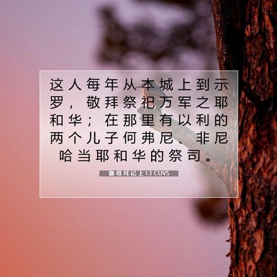 Picture 07 - 撒 母 耳 记 上 1:3 CUVS - 这 人 每 年 从 本 城 上 到 示 罗 ， - Bible Verse Picture