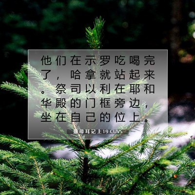 Picture 07 - 撒 母 耳 记 上 1:9 CUVS - 他 们 在 示 罗 吃 喝 完 了 ， 哈 拿 - Bible Verse Picture