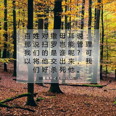 Picture 07 - 撒 母 耳 记 上 11:12 CUVS - 百 姓 对 撒 母 耳 说 ： 那 说 扫 罗 - Bible Verse Picture