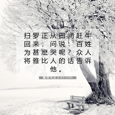 Picture 07 - 撒 母 耳 记 上 11:5 CUVS - 扫 罗 正 从 田 间 赶 牛 回 来 ， 问 - Bible Verse Picture