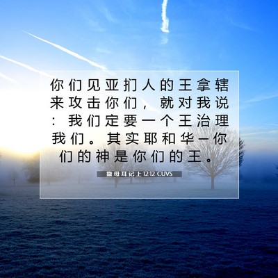 Picture 07 - 撒 母 耳 记 上 12:12 CUVS - 你 们 见 亚 扪 人 的 王 拿 辖 来 攻 - Bible Verse Picture