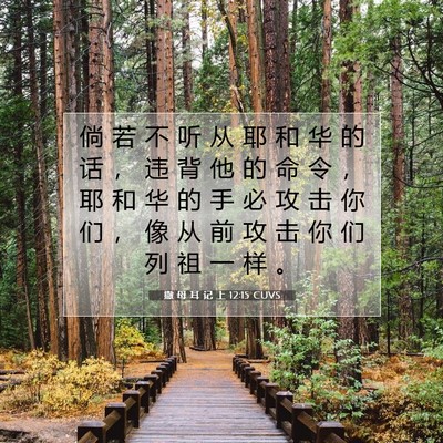 Picture 07 - 撒 母 耳 记 上 12:15 CUVS - 倘 若 不 听 从 耶 和 华 的 话 ， 违 - Bible Verse Picture