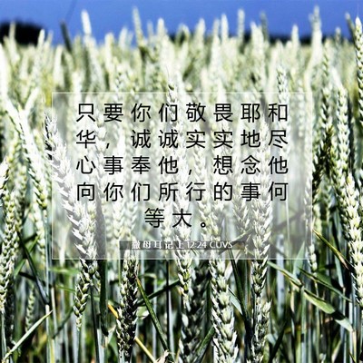 Picture 07 - 撒 母 耳 记 上 12:24 CUVS - 只 要 你 们 敬 畏 耶 和 华 ， 诚 诚 - Bible Verse Picture