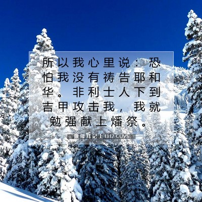 Picture 07 - 撒 母 耳 记 上 13:12 CUVS - 所 以 我 心 里 说 ： 恐 怕 我 没 有 - Bible Verse Picture
