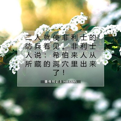 Picture 07 - 撒 母 耳 记 上 14:11 CUVS - 二 人 就 使 非 利 士 的 防 兵 看 见 - Bible Verse Picture