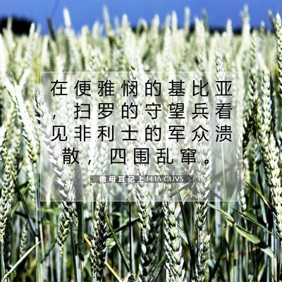 Picture 07 - 撒 母 耳 记 上 14:16 CUVS - 在 便 雅 悯 的 基 比 亚 ， 扫 罗 的 - Bible Verse Picture