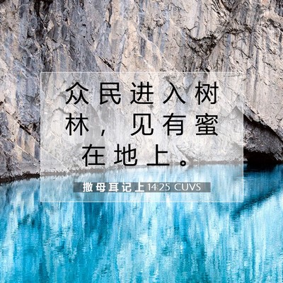 Picture 07 - 撒 母 耳 记 上 14:25 CUVS - 众 民 进 入 树 林 ， 见 有 蜜 在 地 - Bible Verse Picture