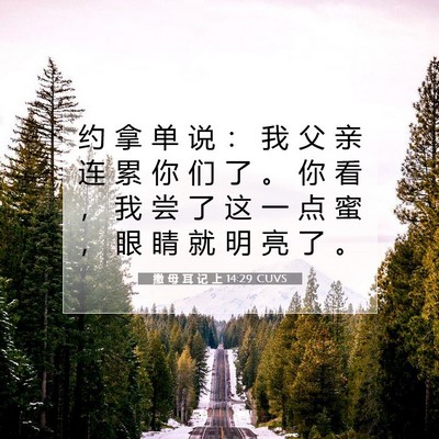 Picture 07 - 撒 母 耳 记 上 14:29 CUVS - 约 拿 单 说 ： 我 父 亲 连 累 你 们 - Bible Verse Picture