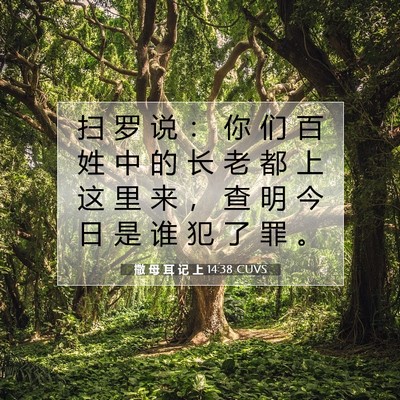 Picture 07 - 撒 母 耳 记 上 14:38 CUVS - 扫 罗 说 ： 你 们 百 姓 中 的 长 老 - Bible Verse Picture