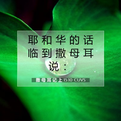 Picture 07 - 撒 母 耳 记 上 15:10 CUVS - 耶 和 华 的 话 临 到 撒 母 耳 说 - Bible Verse Picture