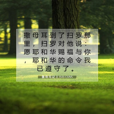Picture 07 - 撒 母 耳 记 上 15:13 CUVS - 撒 母 耳 到 了 扫 罗 那 里 ， 扫 罗 - Bible Verse Picture