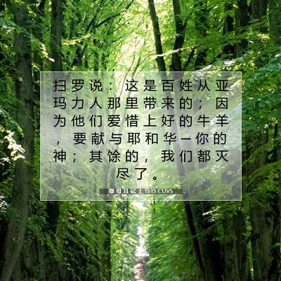 Picture 07 - 撒 母 耳 记 上 15:15 CUVS - 扫 罗 说 ： 这 是 百 姓 从 亚 玛 力 - Bible Verse Picture