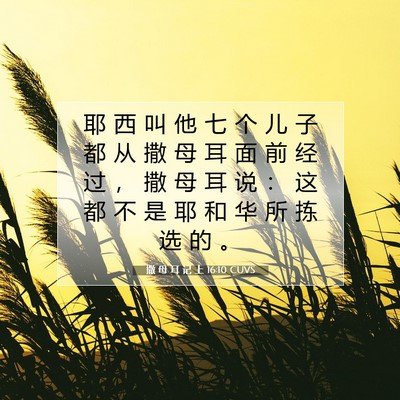 Picture 07 - 撒 母 耳 记 上 16:10 CUVS - 耶 西 叫 他 七 个 儿 子 都 从 撒 母 - Bible Verse Picture