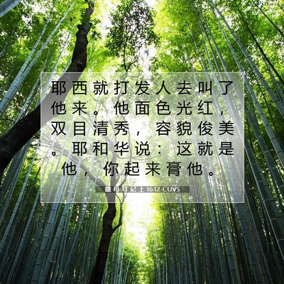 Picture 07 - 撒 母 耳 记 上 16:12 CUVS - 耶 西 就 打 发 人 去 叫 了 他 来 。 - Bible Verse Picture