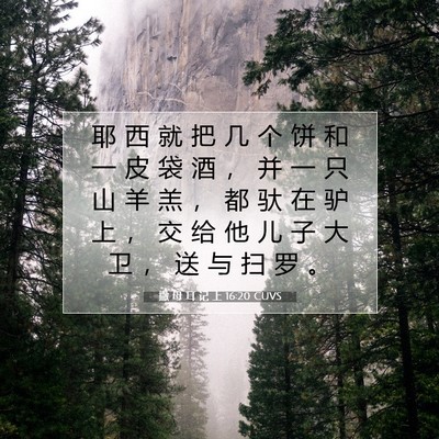 Picture 07 - 撒 母 耳 记 上 16:20 CUVS - 耶 西 就 把 几 个 饼 和 一 皮 袋 酒 - Bible Verse Picture