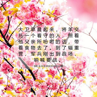 Picture 07 - 撒 母 耳 记 上 17:20 CUVS - 大 卫 早 晨 起 来 ， 将 羊 交 托 一 - Bible Verse Picture